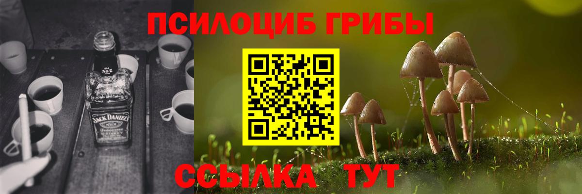 Чернушка  где купить наркоту  Вход с VPN  Галлюциногенные грибы GOLDEN TEACHER 